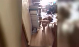 免费污视频,暗藏的风险与警示