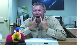 美国人黄色视频,内容、影响及社会反思