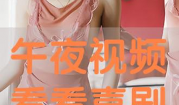 免费观看午夜视频,免费解锁神秘视频之旅